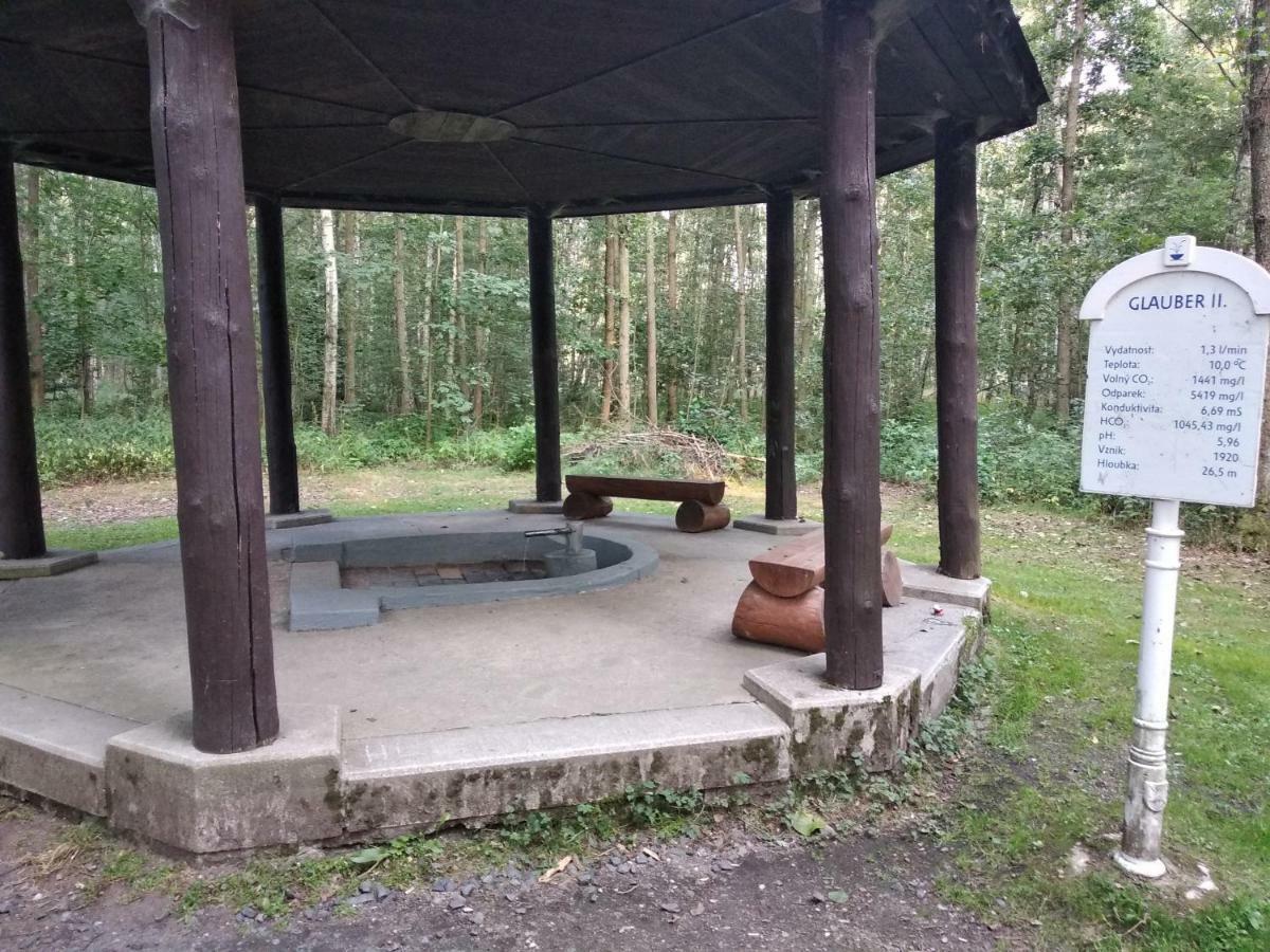 Apartments Ceska Františkovy Lázně Dış mekan fotoğraf