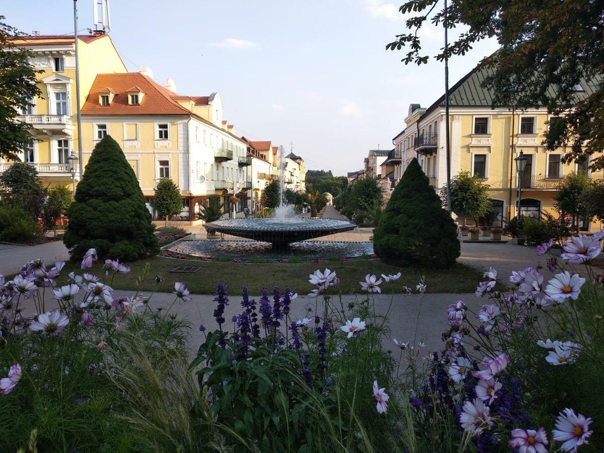 Apartments Ceska Františkovy Lázně Dış mekan fotoğraf